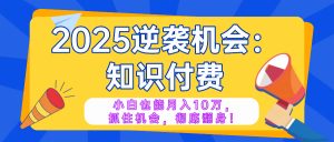 2025逆袭项目——知识付费，小白也能月入10万年入百万，抓住机会彻底翻...-搞个副业