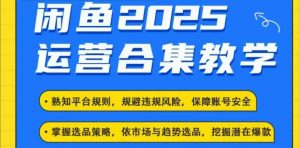 2025闲鱼电商运营全集，2025最新咸鱼玩法-搞个副业