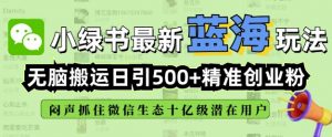 小绿书无脑搬运引流，全自动日引500精准创业粉，微信生态内又一个闷声发财的机会-搞个副业
