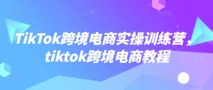TikTok跨境电商实操训练营，tiktok跨境电商教程-搞个副业