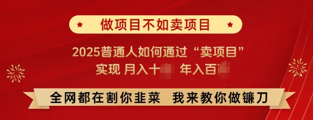 必看，做项目不如卖项目，2025普通人如何通过“卖项目”实现月入十个，年入百个-搞个副业