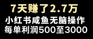 全网首发，7天赚了2.6万，2025利润超级高！-搞个副业