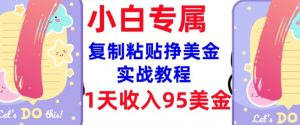 复制粘贴挣美金，0门槛，1天收入95美刀，3分钟学会，内部教程(首次公开)-搞个副业