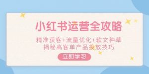 小红书运营全攻略，精准获客+流量优化+软文种草，揭秘高客单产品投放技巧-搞个副业