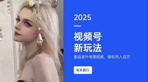 搬运老外奇葩视频，撸视频号分成计划收益，每天只需一小时，新手小白轻松月入过W-搞个副业