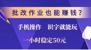 批改作业也能赚钱？0门槛手机项目，识字就能玩！一小时稳定50元！-搞个副业