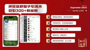 评论区野路子截流创业粉新方法，日被动加300+创业粉，精准引流被动添加...-搞个副业