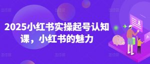 2025小红书实操起号认知课，小红书的魅力-搞个副业