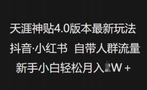 天涯神贴4.0版本最新玩法，抖音·小红书自带人群流量，新手小白轻松月入过W-搞个副业