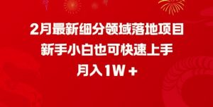 2月最新细分领域落地项目，新手小白也可快速上手，月入1W-搞个副业