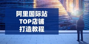 阿里国际站TOP店铺打造教程：涵盖平台到高阶，解决运营难题，提升询盘-搞个副业