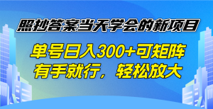 照抄答案当天学会的新项目，单号日入300 +可矩阵，有手就行，轻松放大-搞个副业