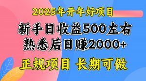 2025开年好项目，单号日收益2000左右-搞个副业