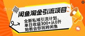 闲鱼淘金私域引流计划，从0开始玩转闲鱼，副业也可以挣到全职的工资-搞个副业