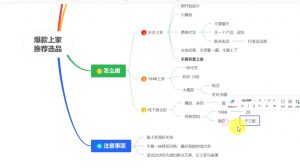 苏博士·淘宝精细化铺货运营陪跑(部分更新至2025)-搞个副业