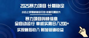 暴力项目舆情信息：多平台全自动运行 单机日入200+ 实现睡后收入-搞个副业