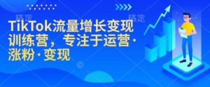 TikTok流量增长变现训练营，专注于运营·涨粉·变现-搞个副业