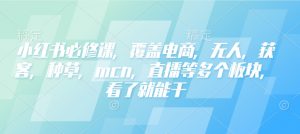 小红书必修课，覆盖电商，无人，获客，种草，mcn，直播等多个板块，看了就能干-搞个副业