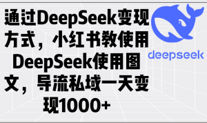 通过DeepSeek变现方式，小红书教使用DeepSeek图文，导流私域一天变现1000+-搞个副业
