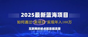 2025最新蓝海项目，零门槛轻松复制，月入10万+，新手也能操作！-搞个副业