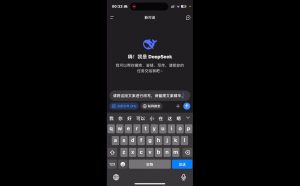 deepseek+小红书打造流量生产线实操课-搞个副业