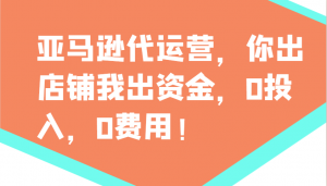 亚马逊代运营，你出店铺我出资金，0投入，0费用，无责任每天300分红，赢亏我承担-搞个副业