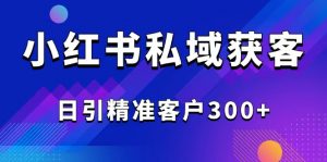 2025最新小红书平台引流获客截流自热玩法讲解，日引精准客户300+-搞个副业
