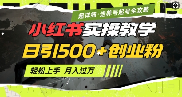 2月小红书最新日引500+创业粉实操教学【超详细】小白轻松上手，月入1W+，附小红书养号起号SOP-搞个副业