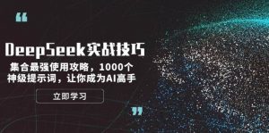 DeepSeek实战技巧：集合最强使用攻略，1000个神级提示词，让你成为AI高手-搞个副业