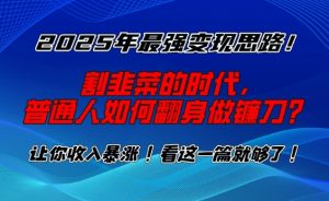 2025年最强变现思路，割韭菜的时代， 普通人如何翻身做镰刀？【揭秘】-搞个副业