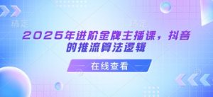 2025年进阶金牌主播课，抖音的推流算法逻辑-搞个副业
