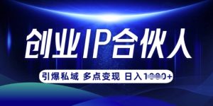 云帆·创业ip合伙人打造3.0，从0到1教你做网创，实现月入过W-搞个副业