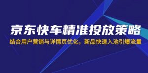 京东快车精准投放策略，结合用户营销与详情页优化，新品快速入池引爆流量-搞个副业