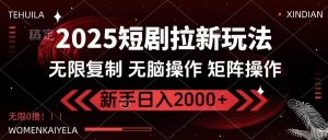 2025短剧拉新玩法，无需注册登录，无限0撸，无脑批量操作日入2000+-搞个副业
