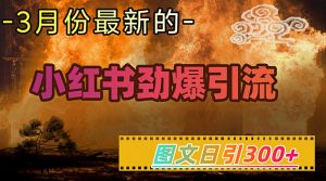 小红书超劲爆引流手段，图文日引300+轻松变现1W-搞个副业