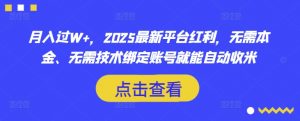 月入过W+，2025最新平台红利，无需本金、无需技术绑定账号就能自动收米-搞个副业
