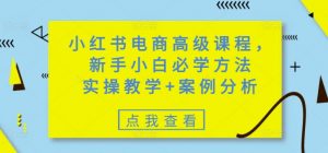 小红书电商高级课程，新手小白必学方法，实操教学+案例分析-搞个副业