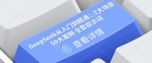 DeepSeek从入门到精通：7大场景 50大案例 全套提示词【文档】-搞个副业