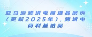 亚马逊跨境电商选品案例(更新2025年3月)，跨境电商利基选品-搞个副业