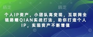 个人IP资产，小团队高变现，互联网全链路赚QIAN实战打法，助你打造个人IP，实现资产不断增值-搞个副业