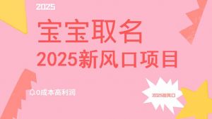 2025新风口项目宝宝取名，0成本高利润，附保姆级教程，月入过万不是梦-搞个副业