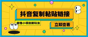 零撸小项目，新玩法，抖音复制链接0.07一条，20秒一条，无限制。-搞个副业