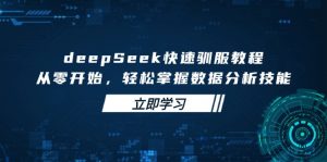 deepSeek快速驯服教程，从零开始，轻松掌握数据分析技能-搞个副业