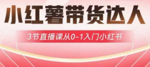 小红薯达人带货启航计划，3节直播课从0-1入门小红书-搞个副业