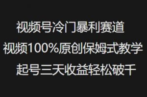 视频号冷门暴利赛道视频100%原创保姆式教学起号三天收益轻松破千-搞个副业