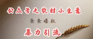 deepseek写农村小项目，条条爆款，暴力引流-搞个副业