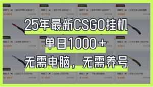 25年最新CSGO挂机系统，单日1000+，无需电脑，无需养号，0基础可上手-搞个副业