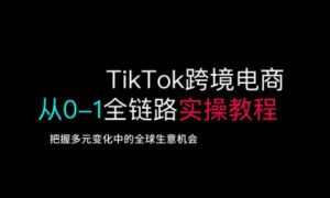 TikTok跨境电商从0-1全链路全方位实操教程，把握多元变化中的全球生意机会-搞个副业