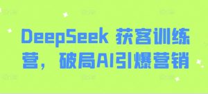 DeepSeek 获客训练营，破局AI引爆营销-搞个副业