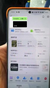 抖音暴力涨粉技术：一天轻松1-10万粉，技术不确定真实性，自测-搞个副业